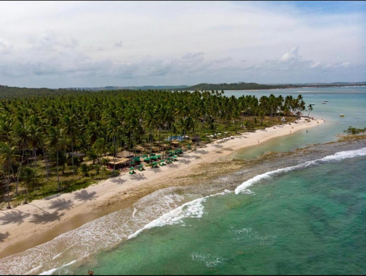 Flat Beira Mar - Carneiros Beach Resort Tamandaré Dış mekan fotoğraf